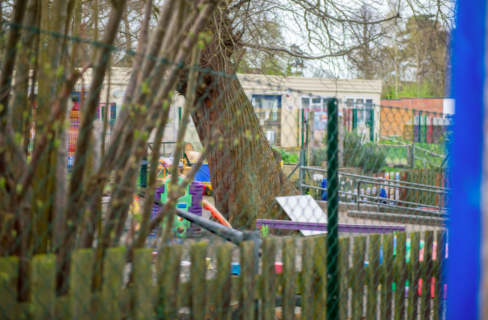 <em>The head of St John’s Primary School in Surrey said leaves and nuts were a danger to pupils (SWNS)</em>