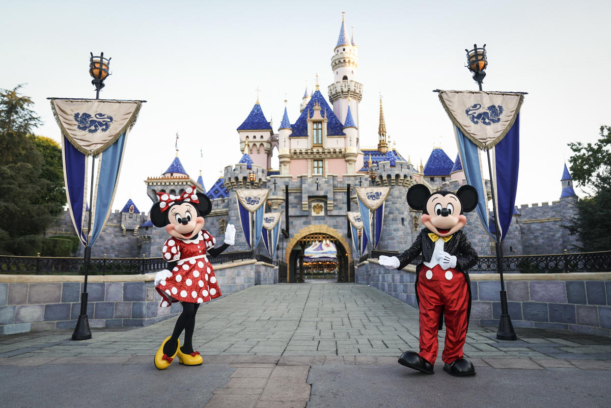 This Couple Had Minnie & Mickey at Their Wedding Instead of Food