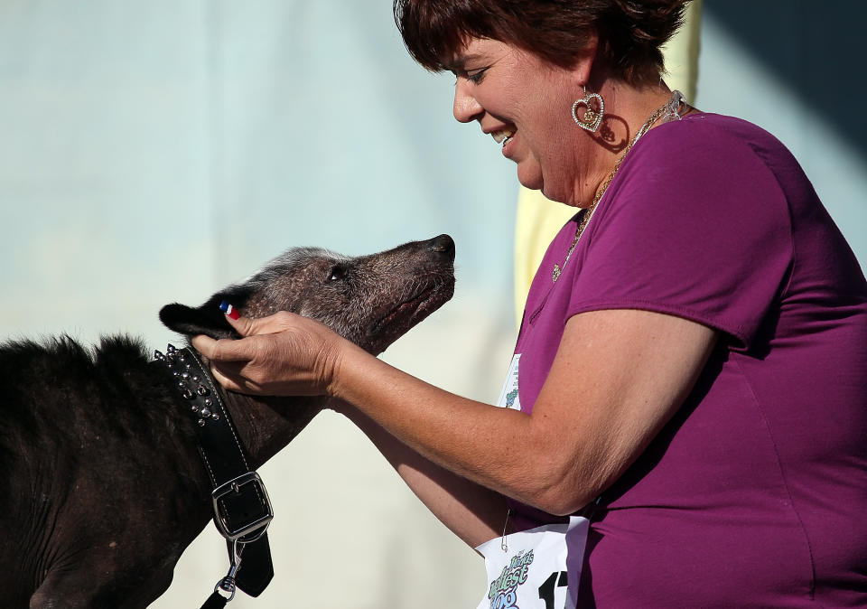 Canines Compete In World's Ugliest Dog Contest