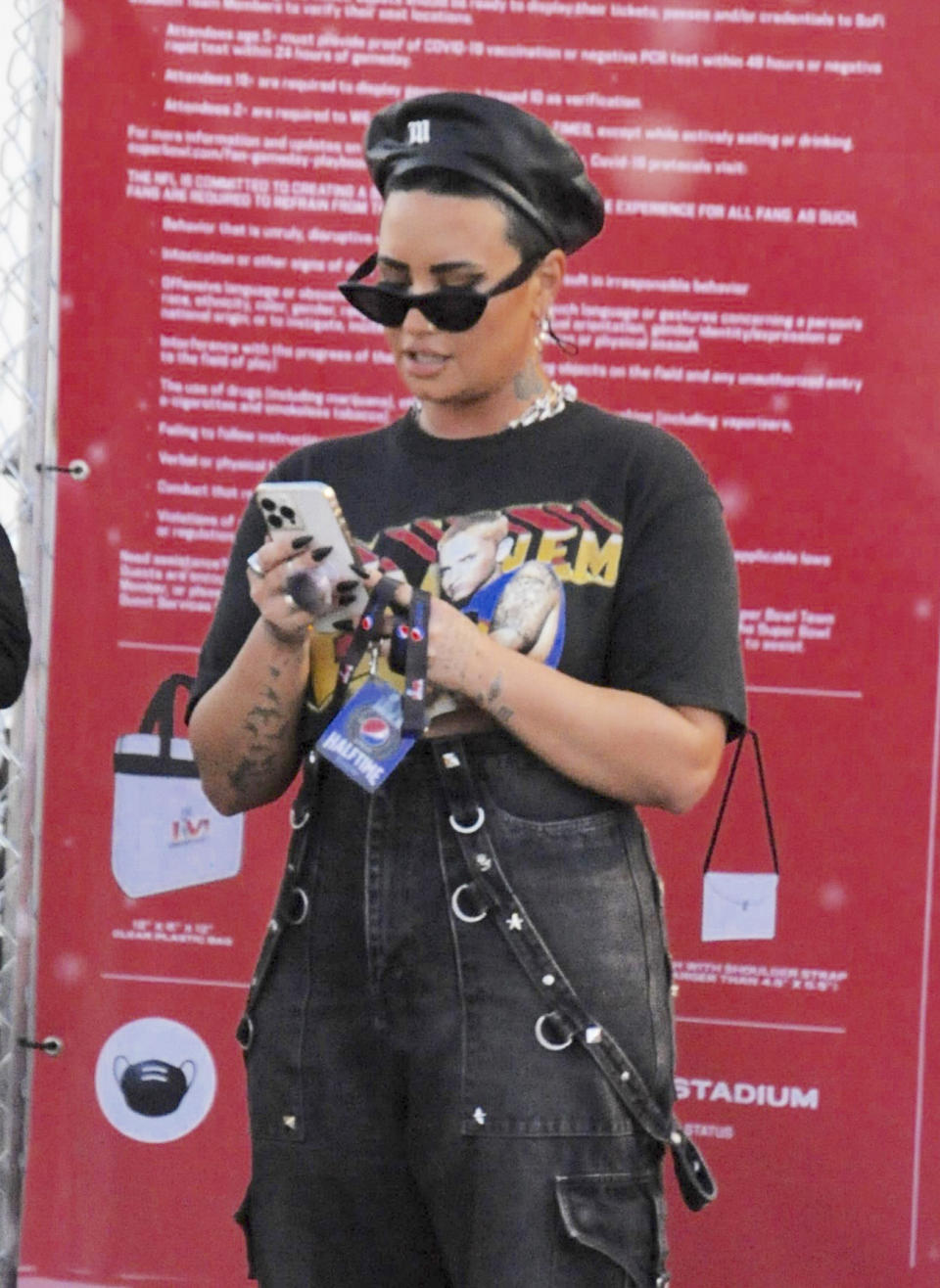 <p>La cantante <strong>Demi Lovato</strong> apostó por un look retro para acudir al partido deportivo Super Bowl, en Los Ángeles.</p>