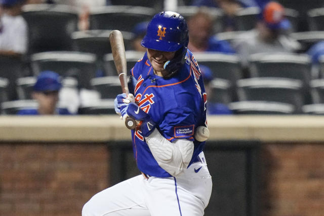 Mets beat Nationals on Mark Canha sacrifice fly after delay