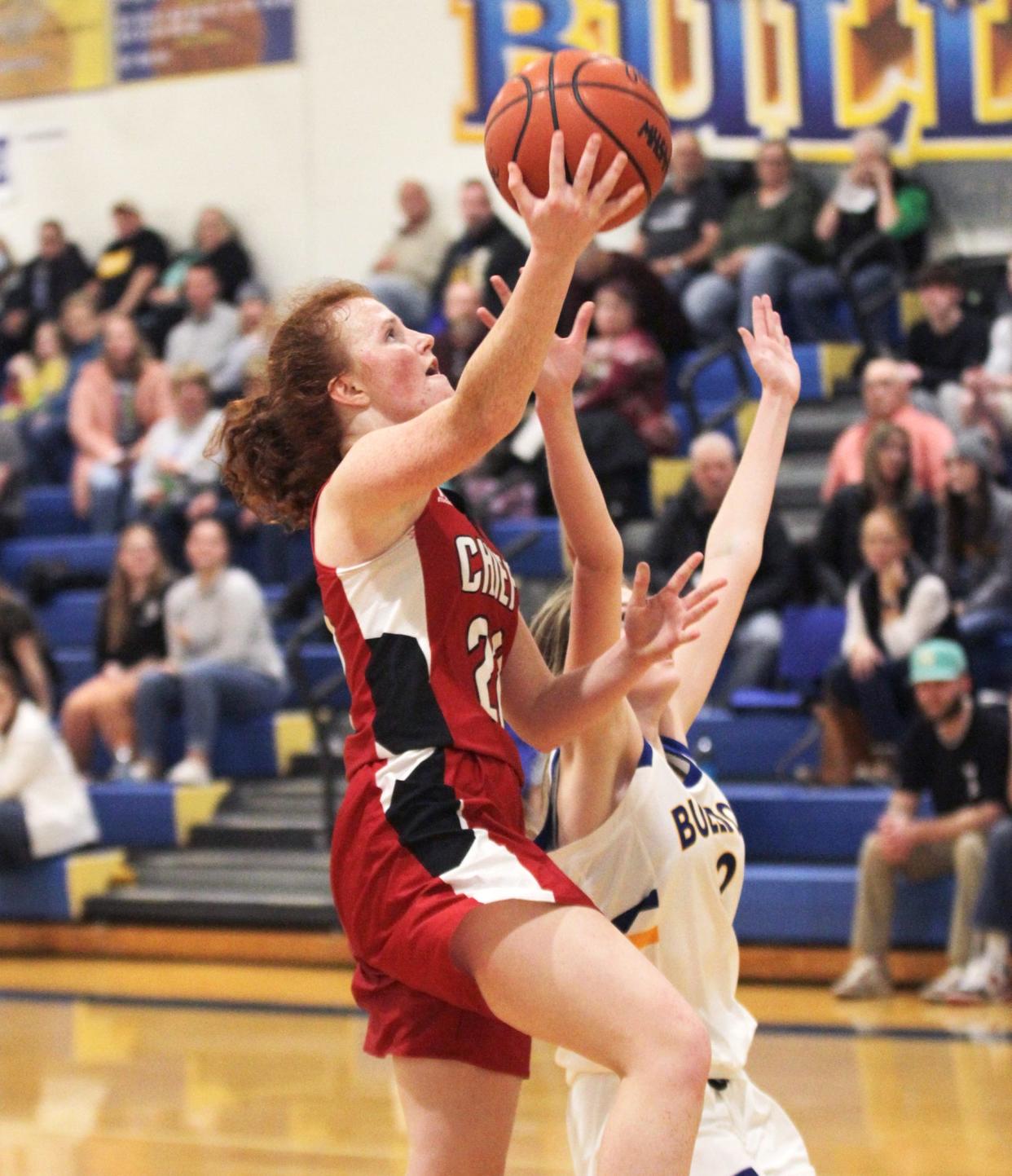 Bailee Freedline led White Pigeon with 17 points in a win on Tuesday.