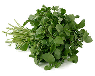 Watercress