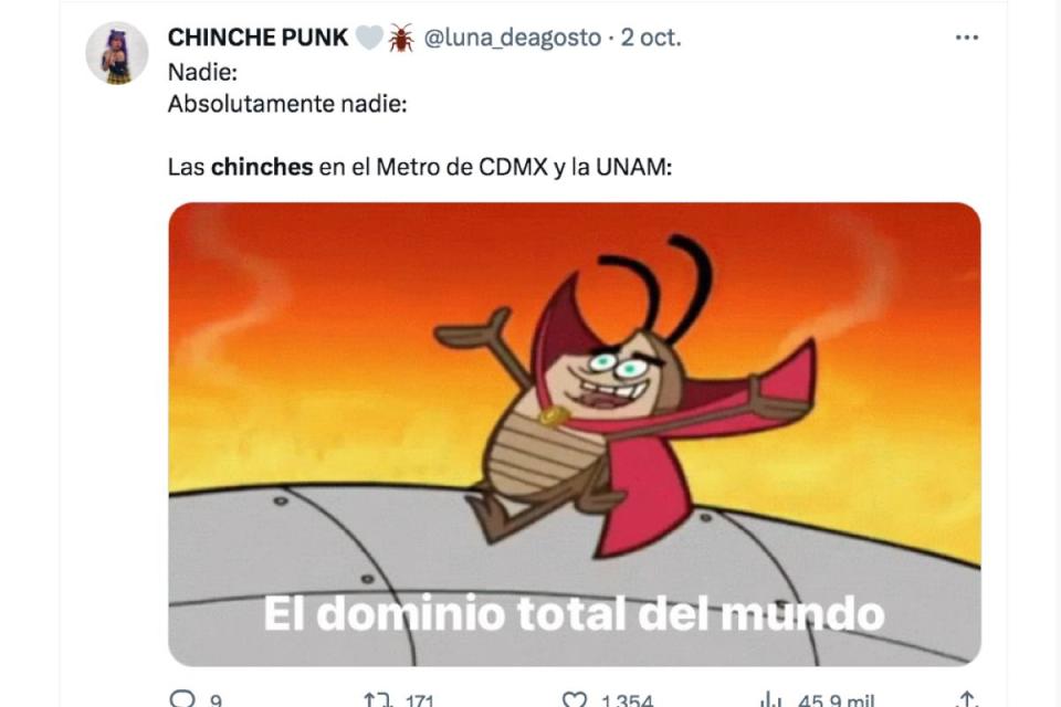 chinches UNAM