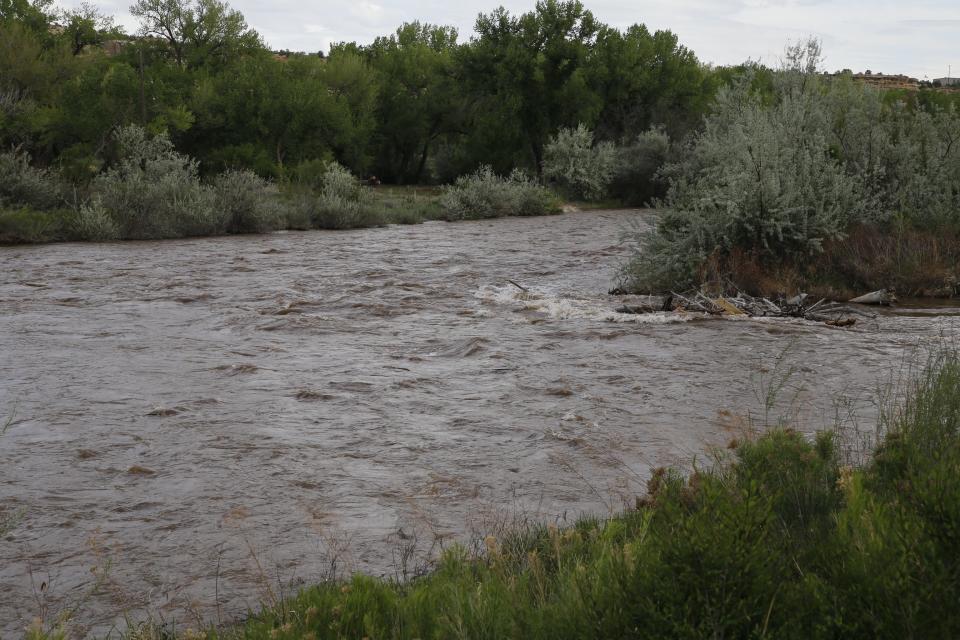 This stretch of the Animas River adjacent to the Farmington Museum at Gateway Park is where city officials plan to build an underwater structure to create a standing save suitable for surfing.