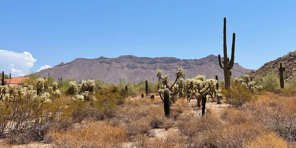 A view of Pass Mountain in Mesa, Arizona.