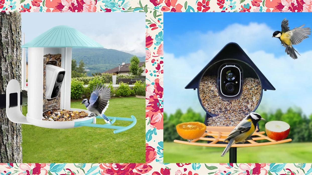 best bird feeder cameras