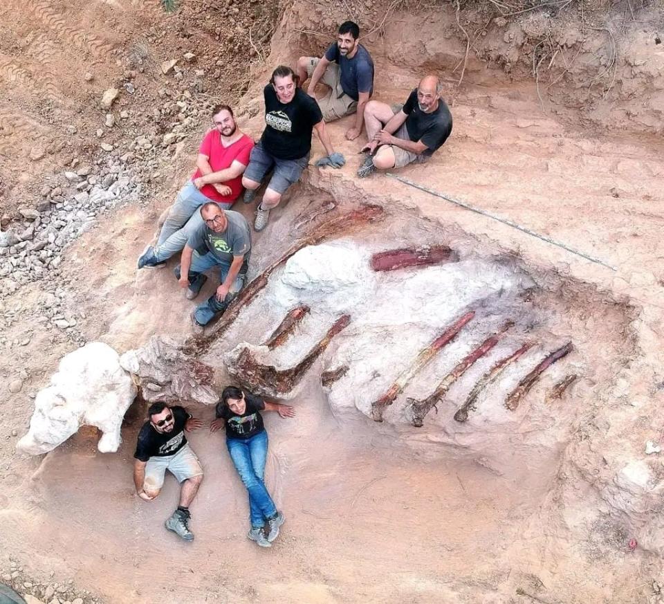 A team of Portuguese and Spanish paleontologists at the paleontological site in Monte Agudo, Pombal (Portugal).