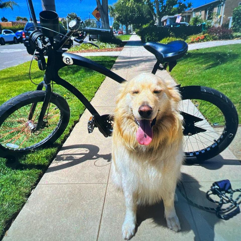 Ace sonriendo frente a la bicicleta de sus dueños recuperada. Cortesía: SDPD