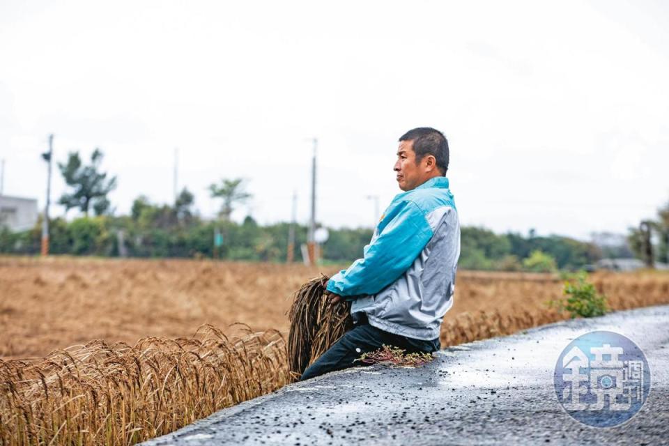 莊育來一生都沒離開農村，面對氣候異常、水源稀少，雖然曾嘗試改種耐旱作物，卻因為種植期不對，收成全無。