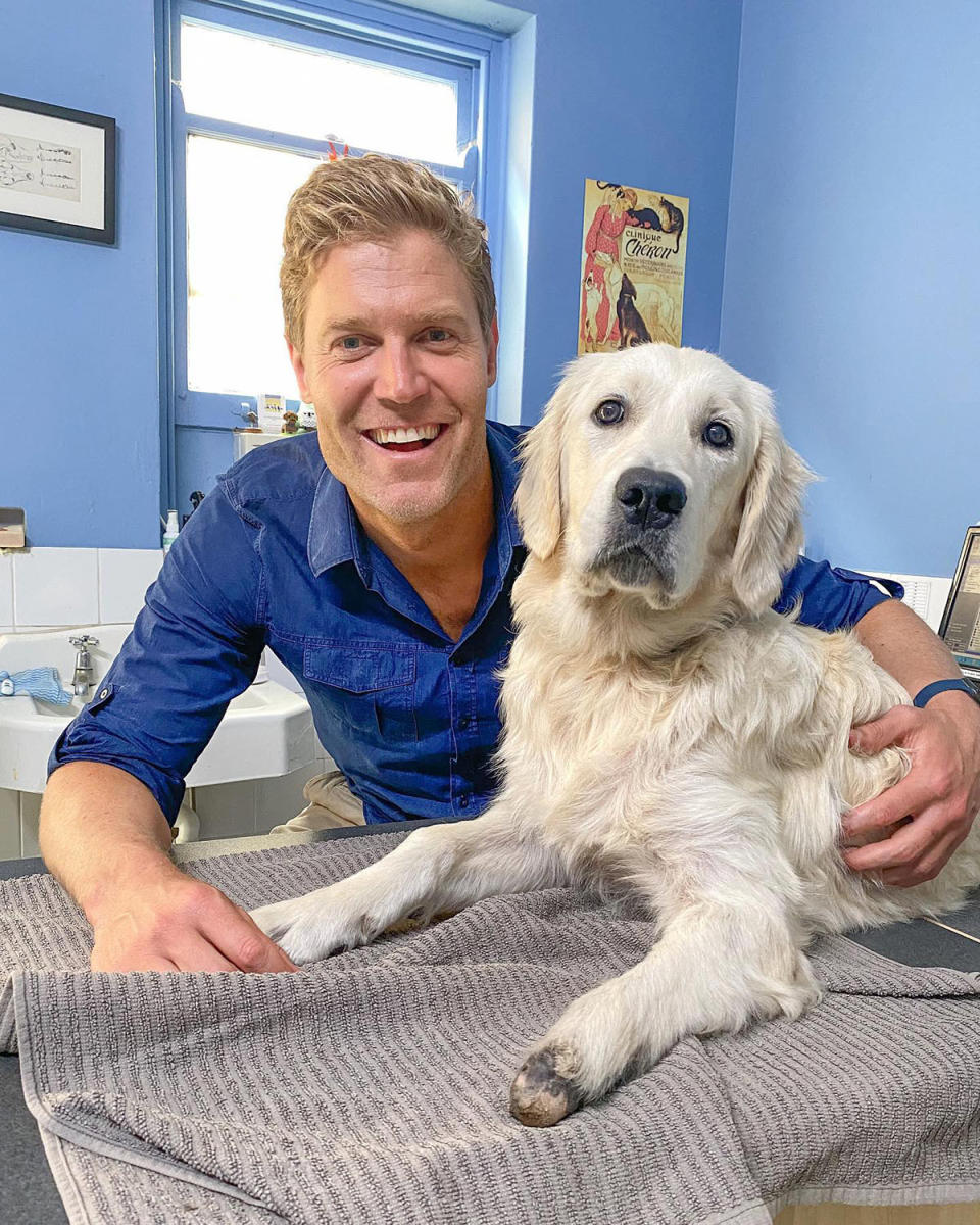 Dr Chris Brown at the vet with a dog