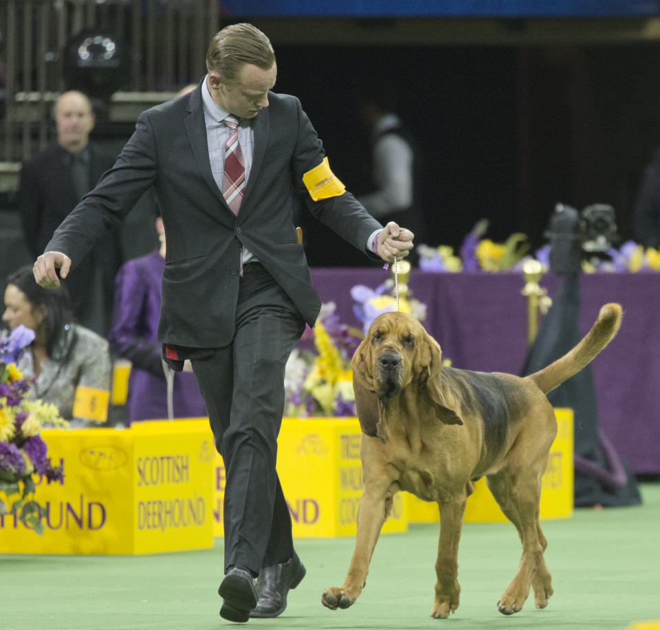 (AP Photo/Mary Altaffer)