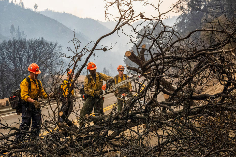 Firefighters clear burned trees and branches. (Qian Weizhong/VCG via Getty Images)