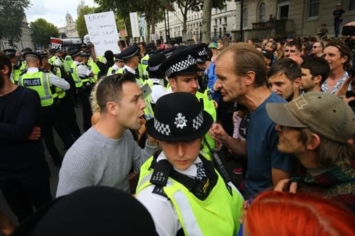 Heated: Protesters on opposing sides of the Brexit debate argue at Whitehall (PA)