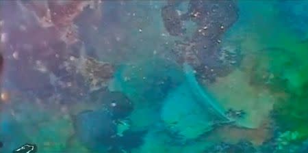 A still image captured from a video footage from the research vessel Martin Bergmann of the Arctic Research Foundation shows what they say is the wreckage of the of HMS Terror in the bottom of Terror Bay in Canada on September 3, 2016. Courtesy Arctic Research Foundation/Handout via REUTERS