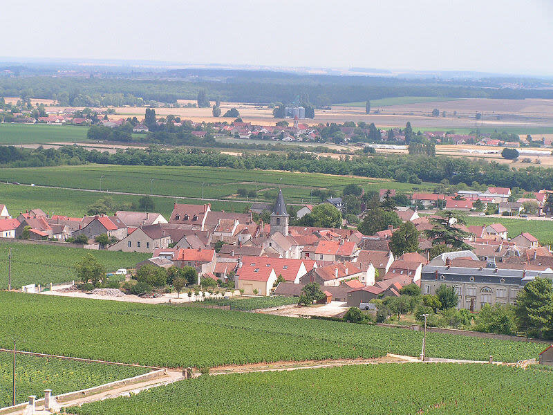 被譽為「沒有平凡葡萄酒」的Vosne Romanée，座擁布根地許多知名特級園（Grand Crus）。