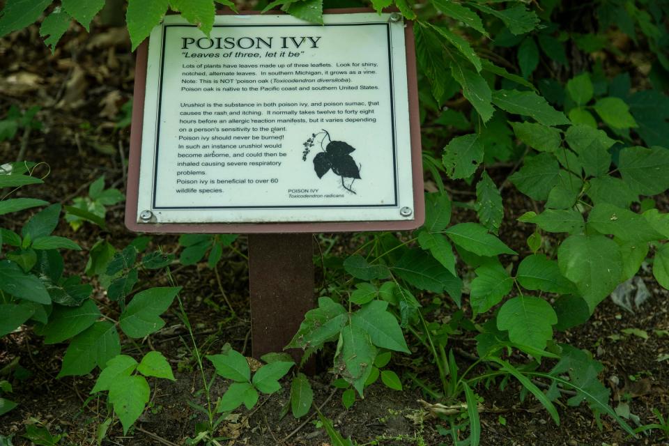 A sign helps visitors to identify poison ivy at the Eddy Discovery Center in Chelsea, Tuesday, June 15, 2021.
