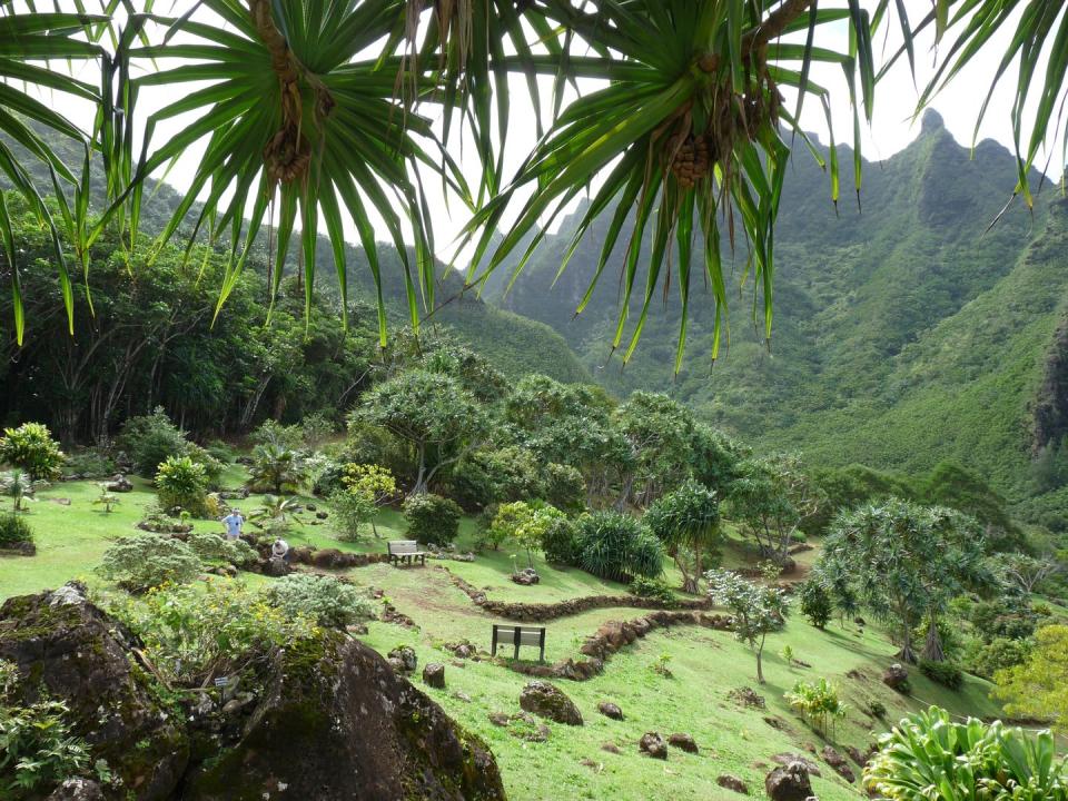 Limahuli Garden & Preserve in Kauai, Hawaii, United States