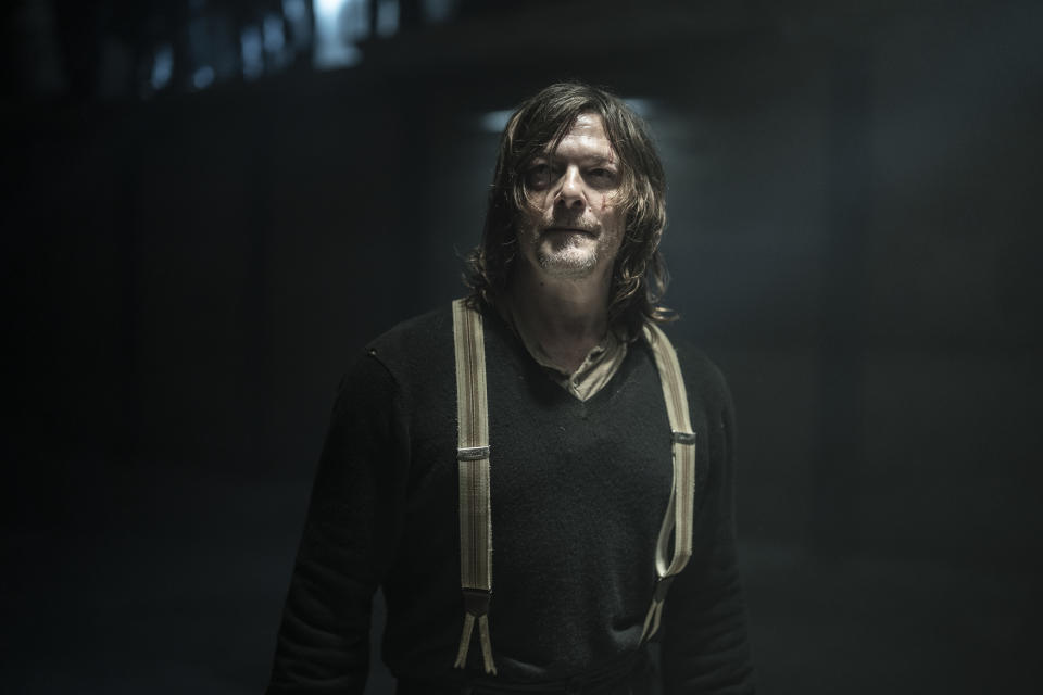 Norman Reedus as Daryl Dixon