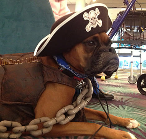 Kayla visits a nursing home dressed as a three-legged pirate for Halloween — including a very convincing plastic chain.