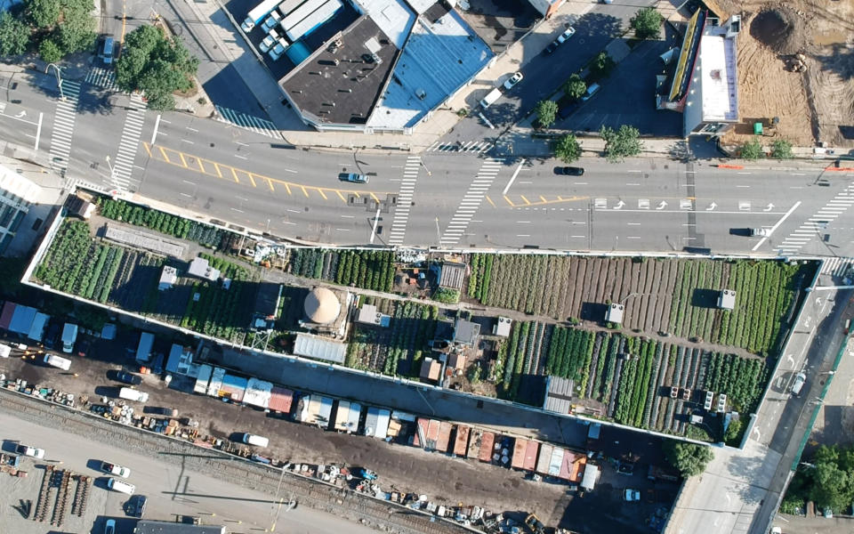 An bird's-eye view of Brooklyn Grange's rooftop farm in Long Island City, Queens. (Photo: Brooklyn Grange Rooftop Farm)