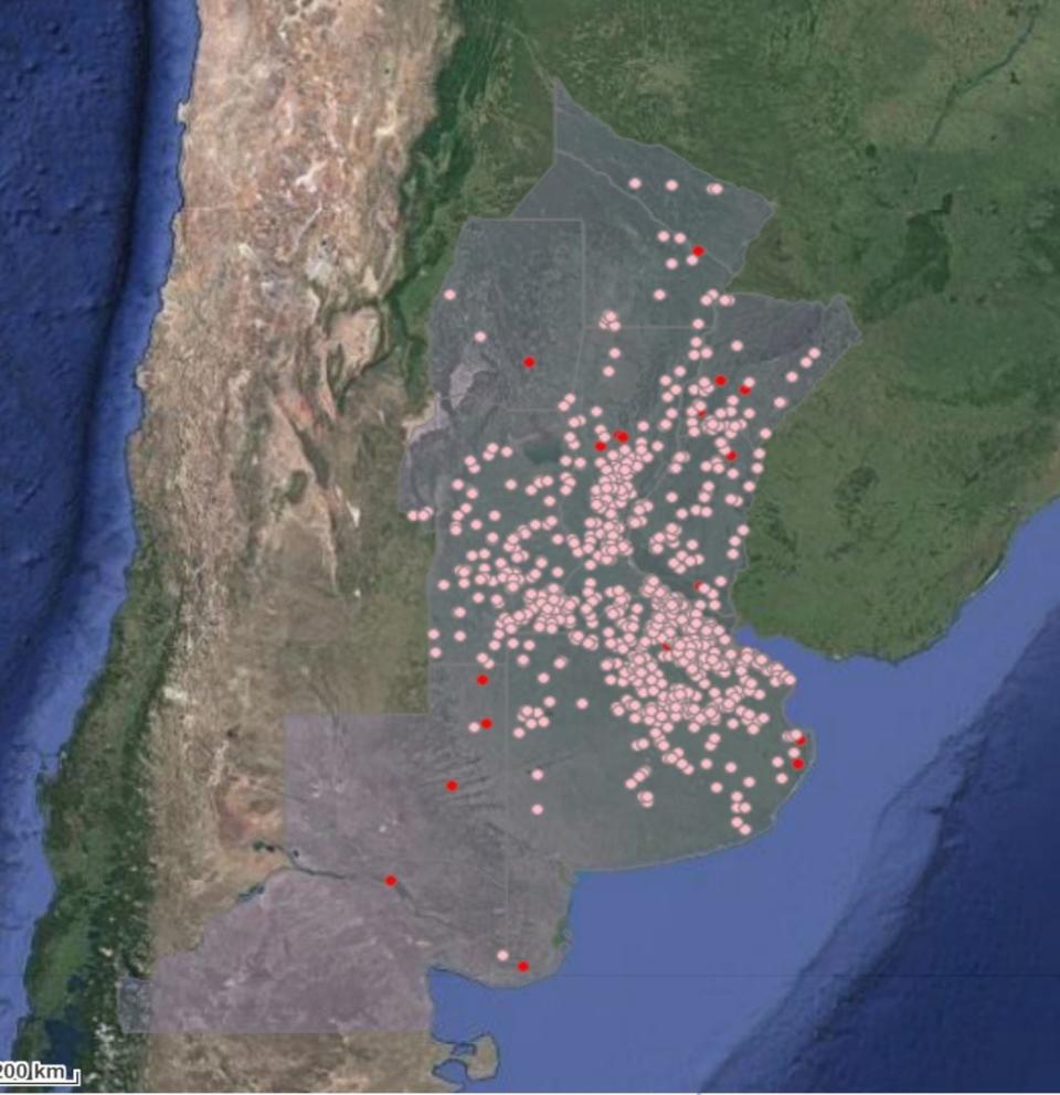 Senasa registra 920 brotes activos de encefalitis equina en 15 provincias; en la imagen, rojo indica los casos confirmados por laboratorio y, rosa, los casos por diagnóstico clínico