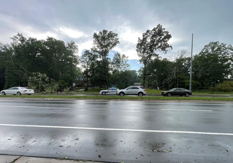 A tree fell onto power lines in Mount Holly Wednesday, May 8. (Photo: Adam Wilson)