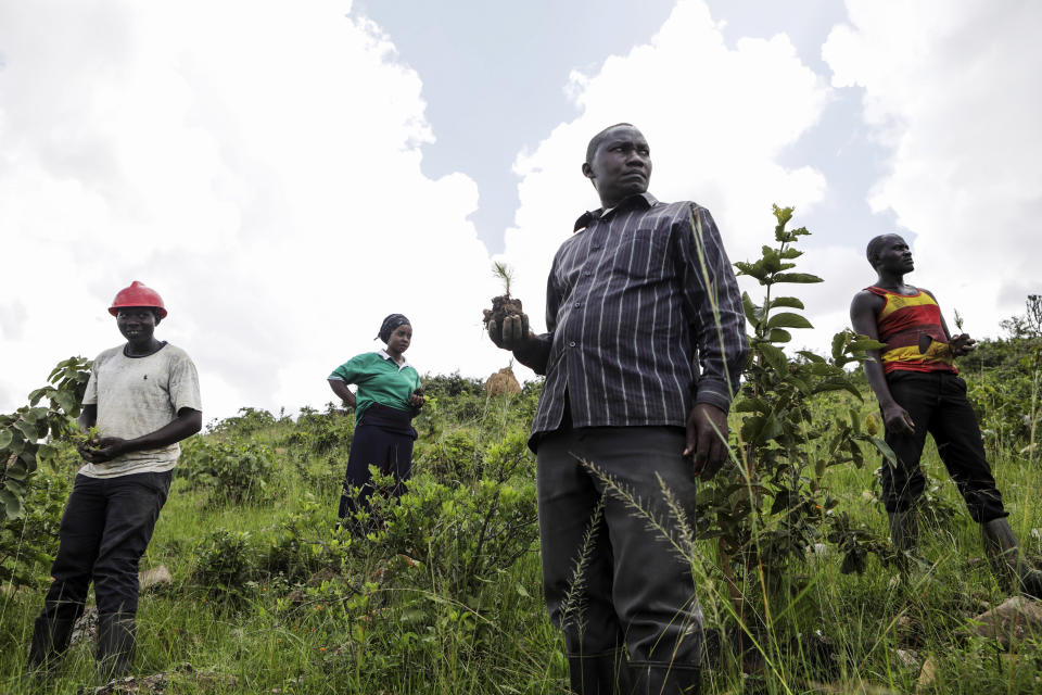 Varias personas --integrantes de la Asociación Ambiental Verde de Nakivale-- se preparan para plantar árboles dentro del Asentamiento de Refugiados de Nakivale, el 5 de diciembre de 2023, en Mbarara, Uganda. (AP Foto/Hajarah Nalwadda)