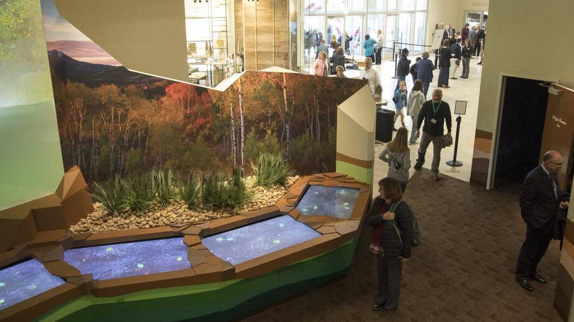 Visitors to the museum’s Origins Gallery will see a massive digital screen highlighting Idaho’s ecology, changing seasons and lifeblood: water.