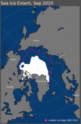 Sea ice coverage in September 2020. The purple line indicates the previous median ice coverage extent from 1981-2010. (Photo: National Snow and Ice Data Center, University of Colorado, Boulder)
