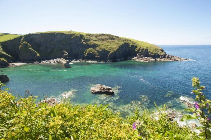 Port Isaac is one of the sweetest spots on the North Cornwall coast (Adam Gibbard)