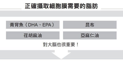 攝取昆布、青背魚等食物能讓細胞膜、大腦變健康