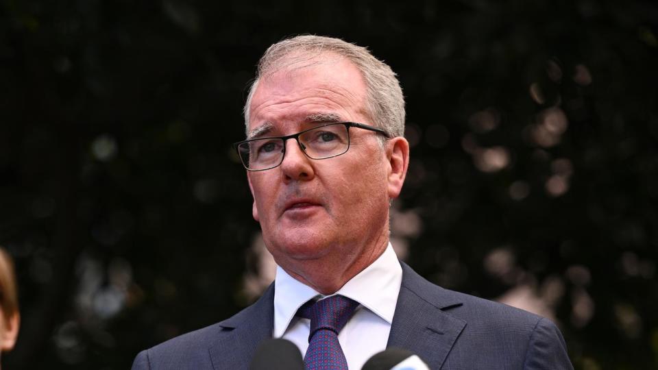 NSW Attorney General Michael Daley (file image)