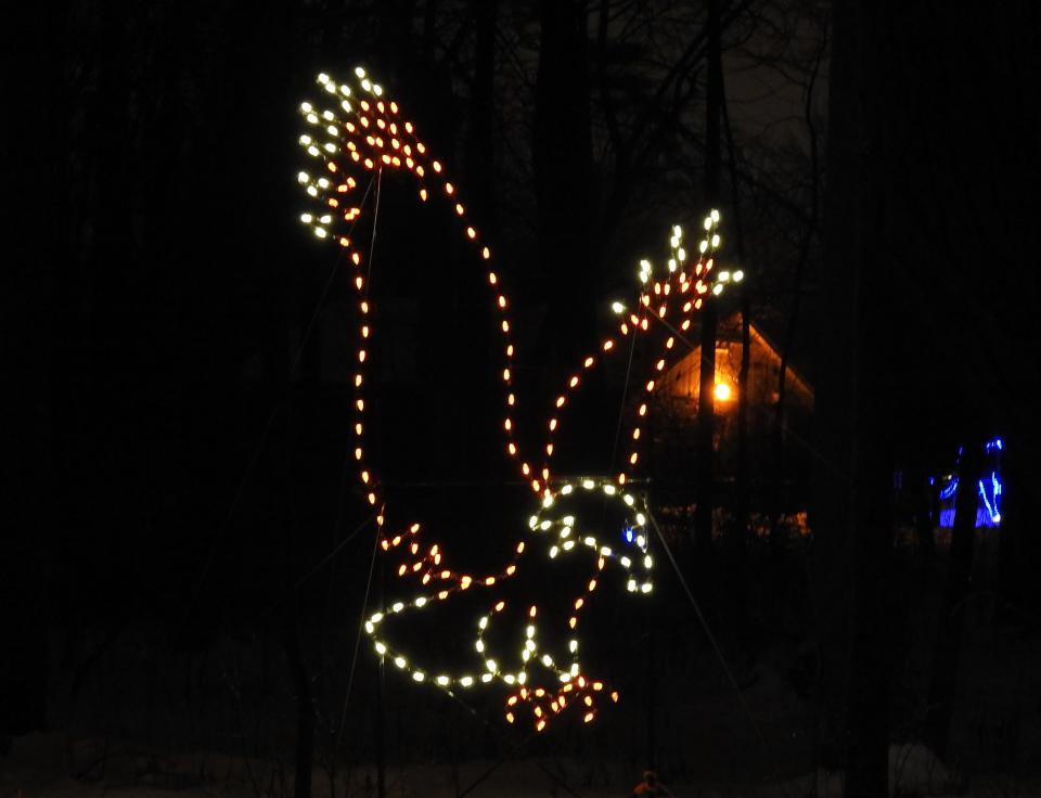A display at Manitowoc's Lights in Lincoln Park.