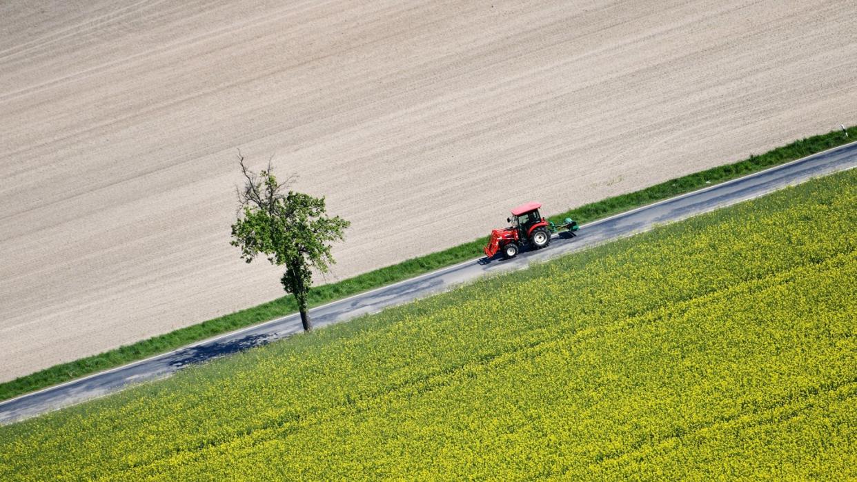 Ist ein Mehrzweckstreifen vorhanden, können Fahrzeuge mit besonderer Geschwindigkeitsbegrenzung darauf ausweichen, wenn Autos sie überholen wollen. Foto: Frank May