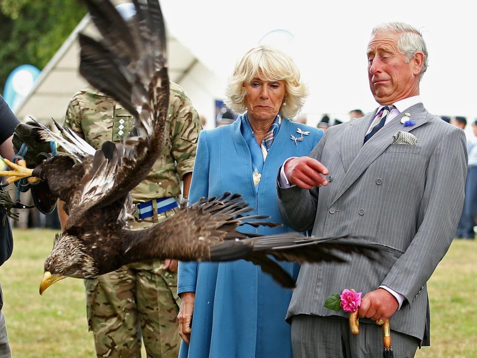 Prince Charles and Camilla dodge an eagle in King's Lynn, England.