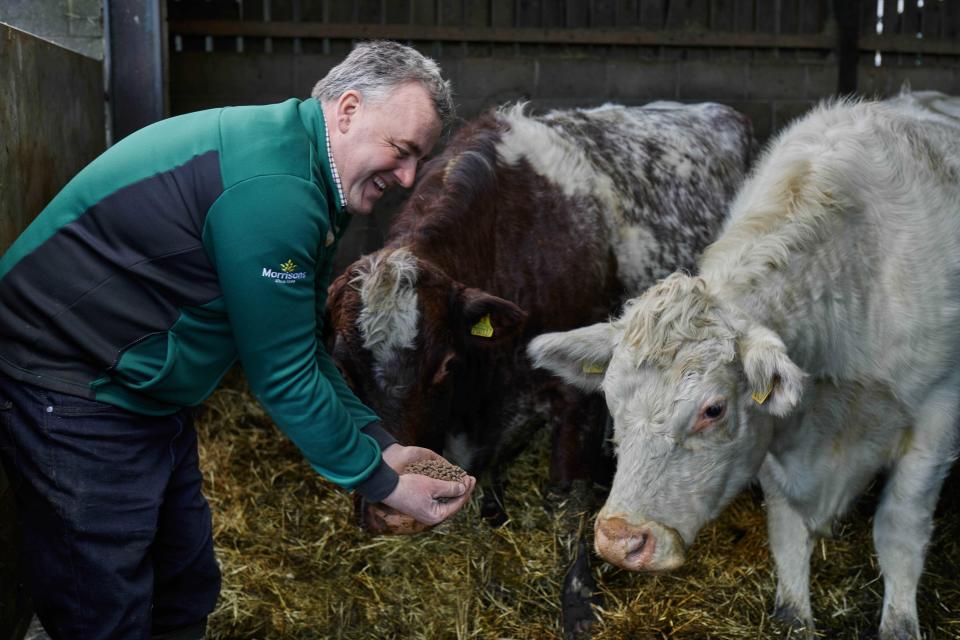 Carlisle farmer Paul Coates with his cattle