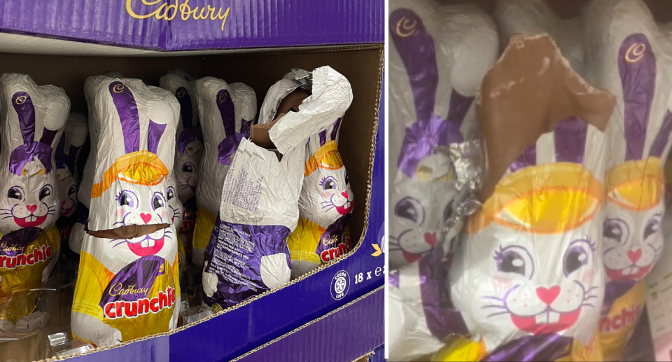 Foto di coniglietti pasquali Cadbury rotti con cioccolato mancante al supermercato. 