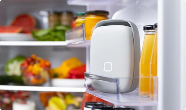 Fight Food Waste in Your Fridge with the Shelfy Smart Purifier