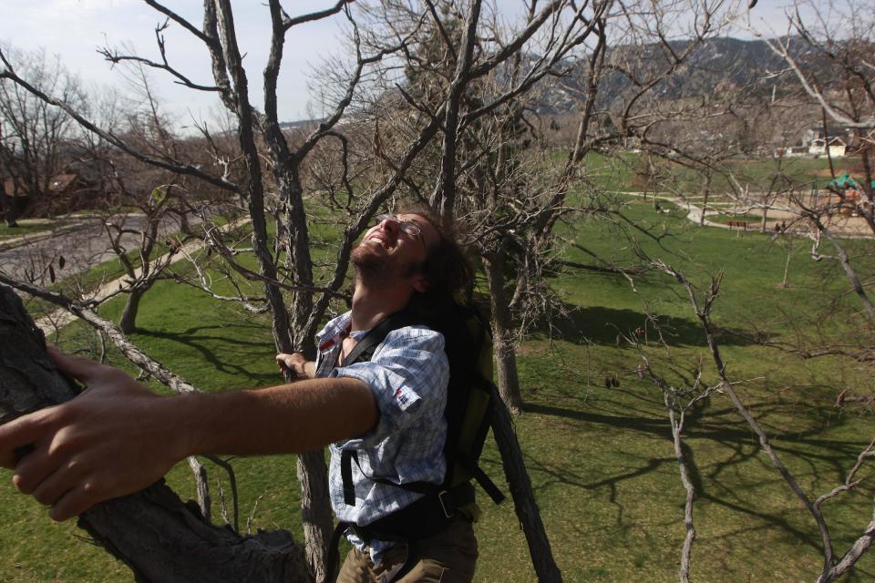 In this Saturday, May 4, 2013 photo, Ethan Welty, co-founder of the urban foraging website fallingfruit.org, climbs a tree looking for edible fruit, at a public park, in Boulder, Colo. Welty's website, which grew out of one of his hobbies, already points the way to more than half a million edible plants in public spaces worldwide, and it is growing. (AP Photo/Brennan Linsley)