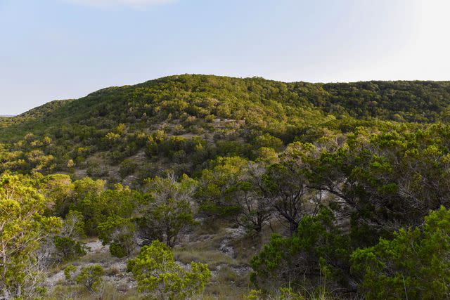 <p>Claire Hassler/USFWS</p>