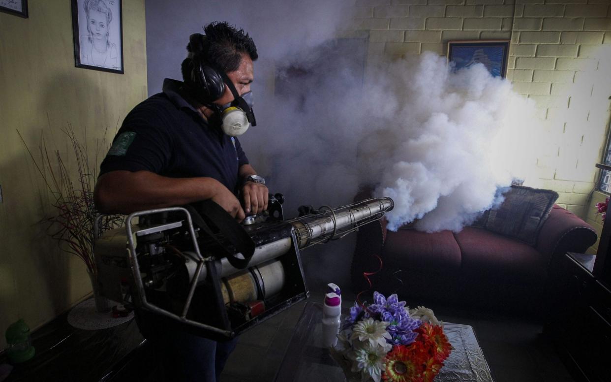 A flat in El Salvador is fumigated against the mosquito that transmits the Zika virus - EFE