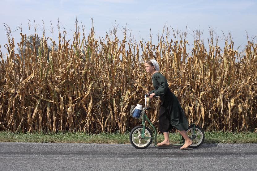 In this image released by PBS, a girl rides a foot push bike in a scene from "The Amish: American Experience," a film that offers a revealing look at the Amish community of about 250,000 centered primarily in rural Pennsylvania, Ohio and Indiana. The film premieres on PBS stations on Feb. 28 at 8 p.m. (AP Photo/PBS)