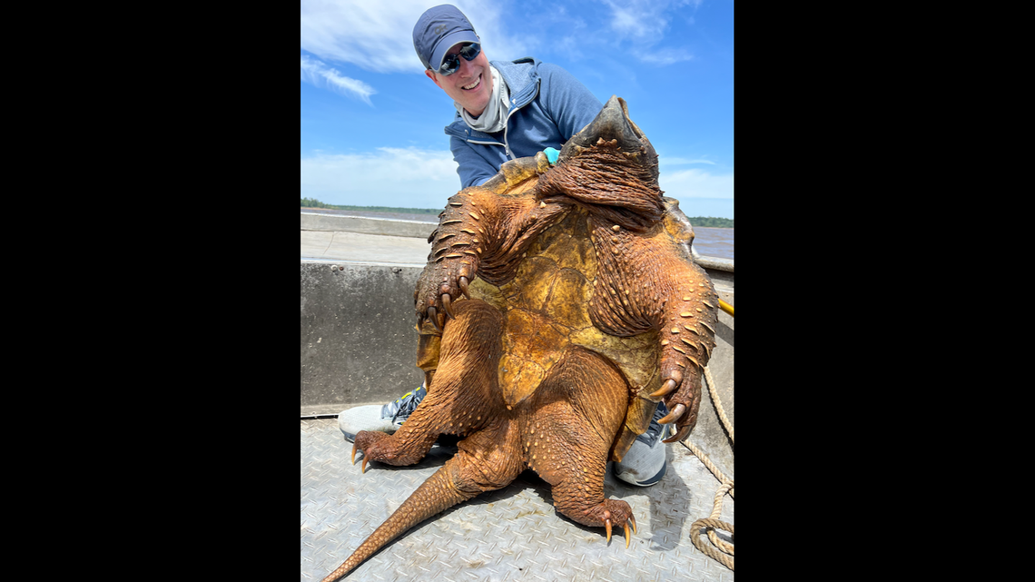 Art Weston said the turtle acted like it wanted to bite him.