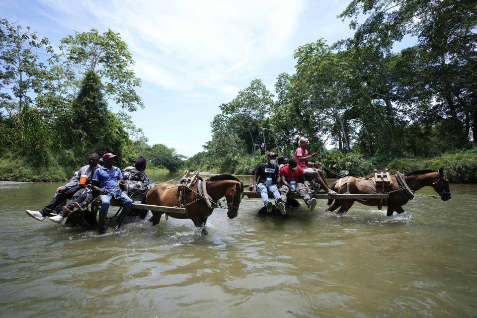 Varios migrantes cruzan el río Acandí en carros tirados por caballos, el martes 14 de septiembre de 2021, en Acandí, Colombia. (AP Foto/Fernando Vergara)
