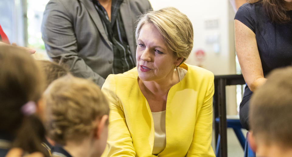 2019 Federal Election: Deputy Opposition Leader Tanya Plibersek speaks to students during a visit to Lawnton State School, in the seat of Dickson, Brisbane