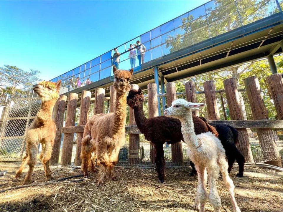 和逸飯店·高雄中山館推出「動物園郊遊趣」住房專案，將提取小額至壽山動物園認養專戶。圖／壽山動物園提供