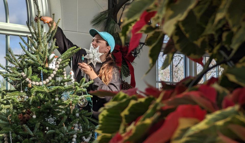 Bridget Cole tops her Christmas tree at Hershey Gardens. Rhapsody in Bloom, of Palmyra, decorated the tree.