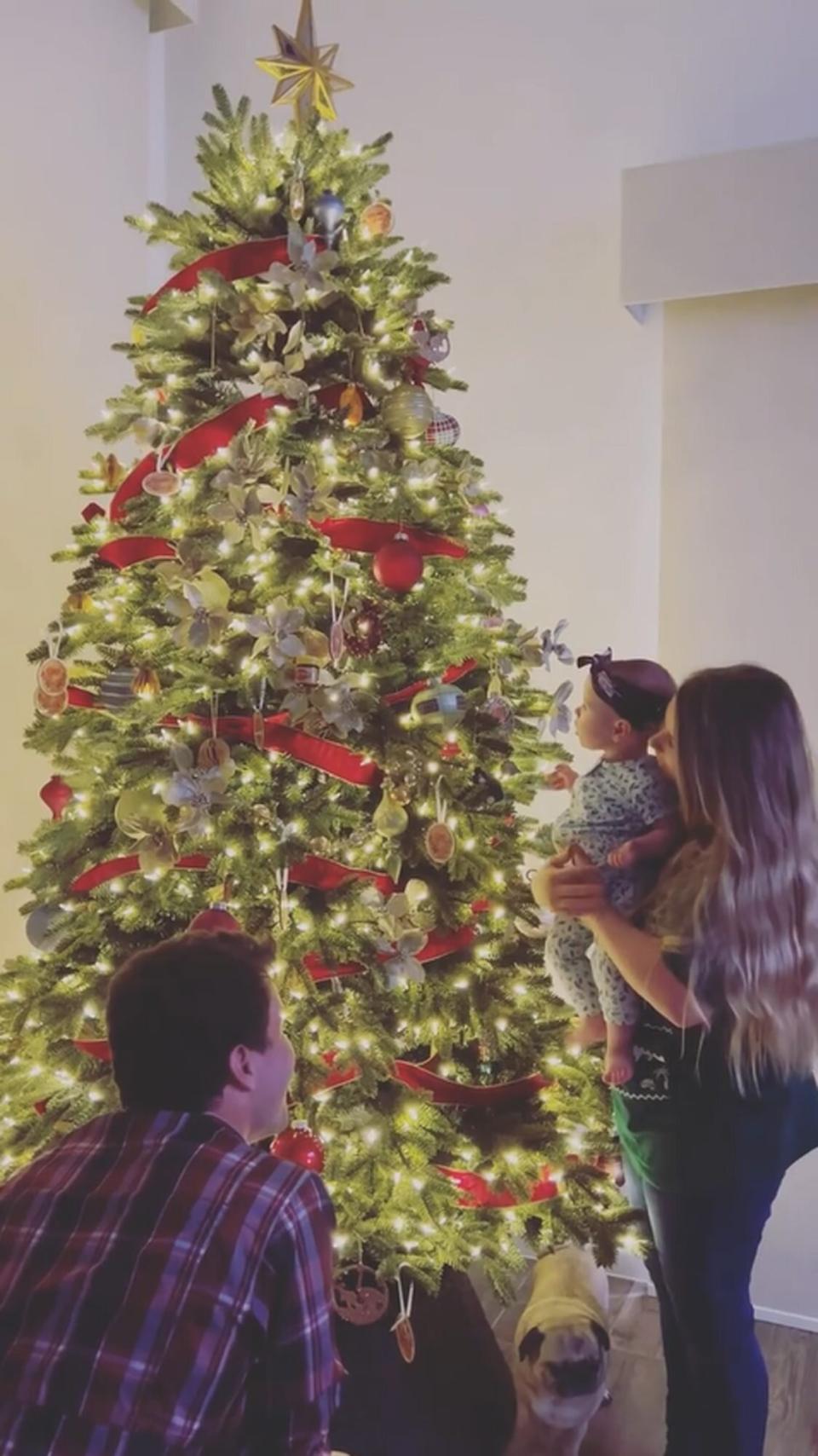 Grace woke up to her very first Christmas tree in our house