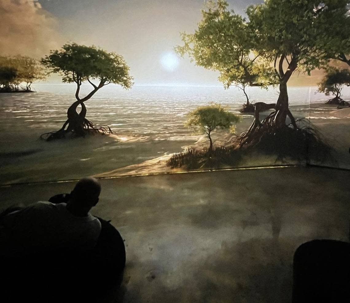 Guests will get a special immersive journey into the heart of the mangroves at “Our Ocean, Our Future.”